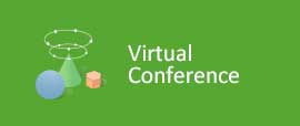 Virual Conference